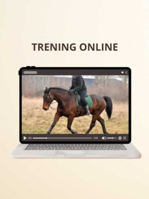 Trening online