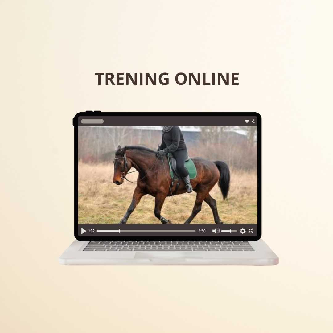 Trening online
