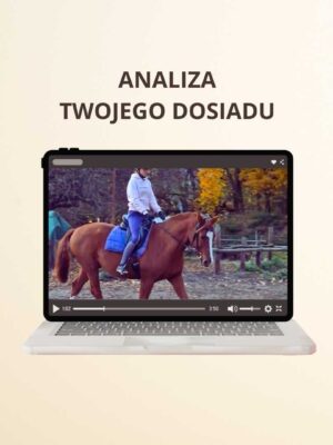 ANALIZA DOSIADU