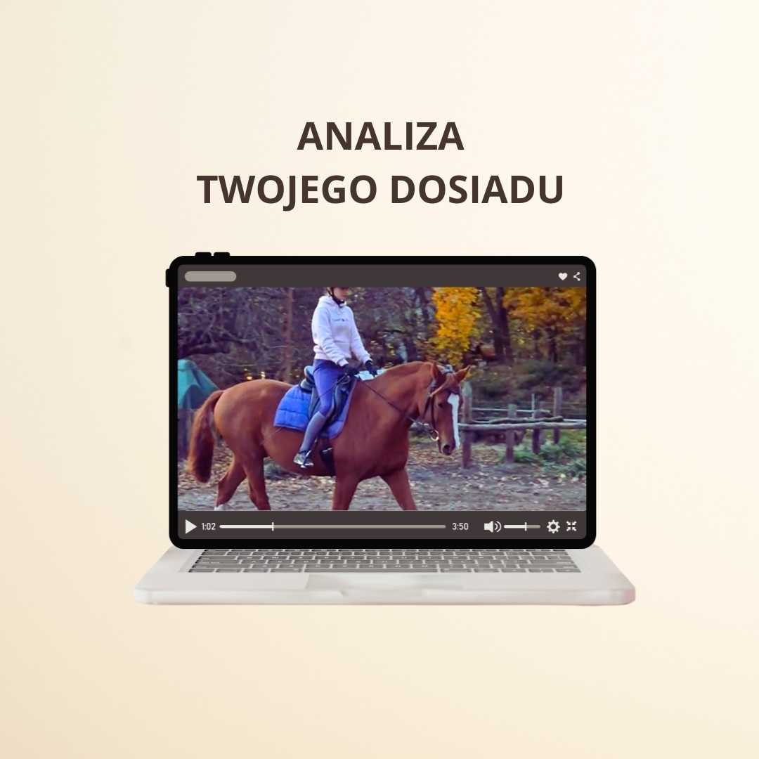 ANALIZA DOSIADU